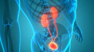 Urinary Incontinence:Managing Symptoms and Treatment Options